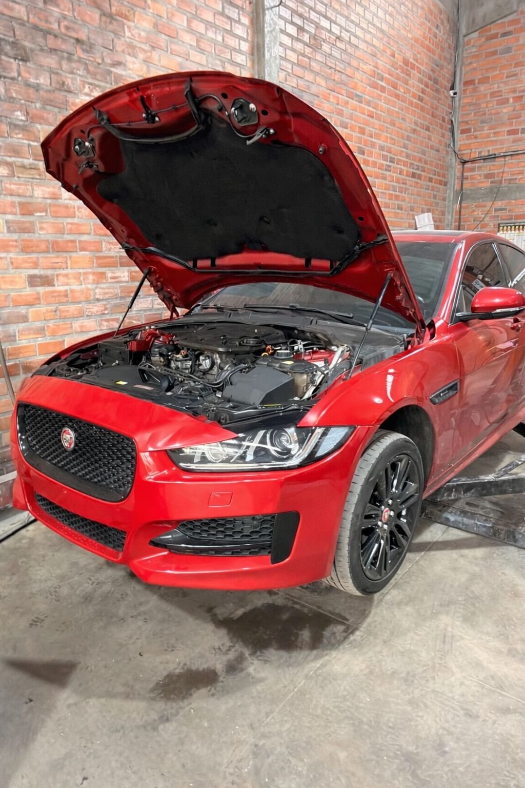 Motor
